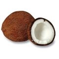 Kokosov oech