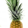 Ananas - kliknutím zobrazíte obrázek v plné velikosti