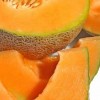 Cantaloupe - kliknutím zobrazíte obrázek v plné velikosti