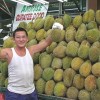 Durian - kliknutím zobrazíte obrázek v plné velikosti