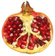 Řez plodem granátového jablka - kliknutím zobrazíte obrázek v plné velikosti