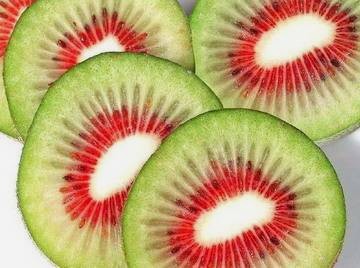 Červené kiwi