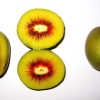 Kiwi z hongyangu - červené kiwi - kliknutím zobrazíte obrázek v plné velikosti