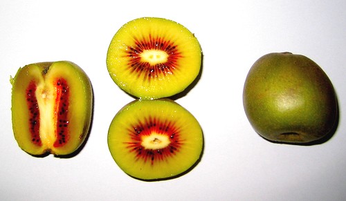 Kiwi z hongyangu - červené kiwi