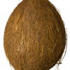 Kokosový ořech - kliknutím zobrazíte obrázek v plné velikosti