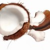 Kokosový ořech - kliknutím zobrazíte obrázek v plné velikosti
