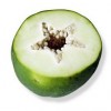 Rozřízlý nezralý plod papáji - kliknutím zobrazíte obrázek v plné velikosti