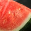 Vodní meloun - kliknutím zobrazíte obrázek v plné velikosti