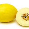 Žlutý cukrový meloun - kliknutím zobrazíte obrázek v plné velikosti