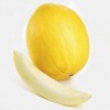 Žlutý cukrový meloun - kliknutím zobrazíte obrázek v plné velikosti