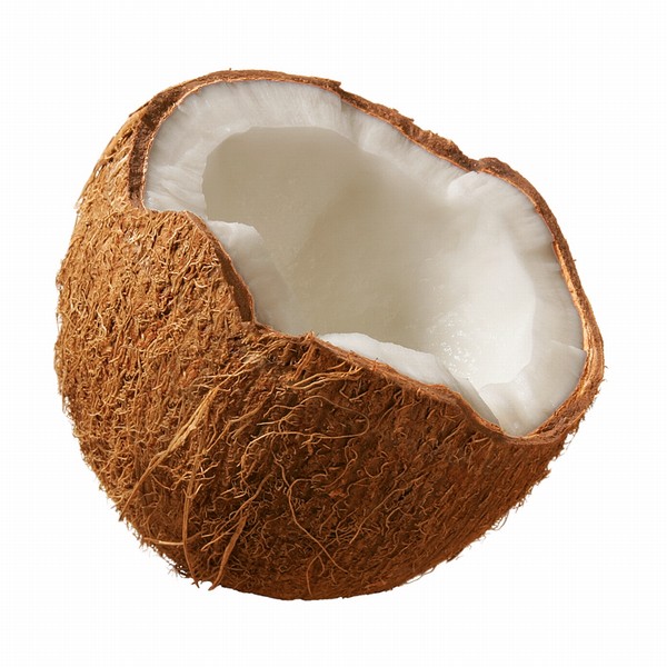 Kokos - Kokosový ořech (kokos) - popis - Exotické ovoce